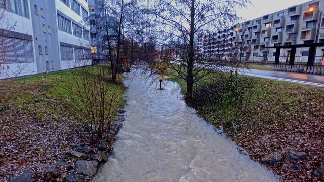 Ein Bach ist kräftig angeschwollen, so dass die Bäume jetzt teilweise im Wasser stehen. Ein Bach ist kräftig angeschwollen, so dass die Bäume jetzt teilweise im Wasser stehen.
