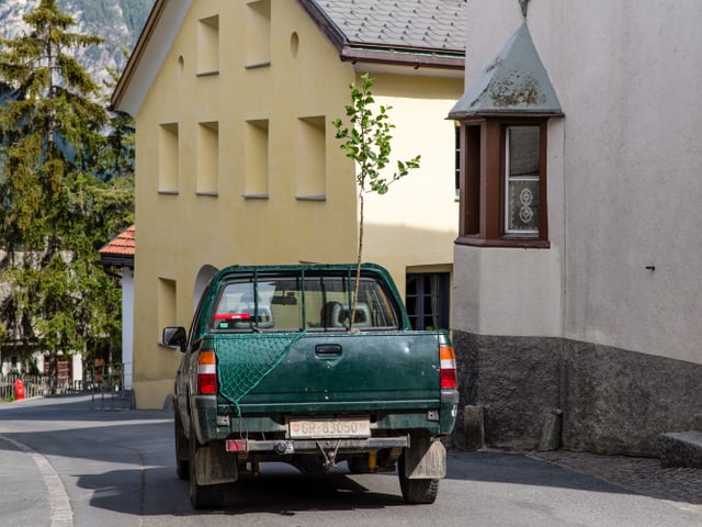 Spazierenfahren mit Baum.