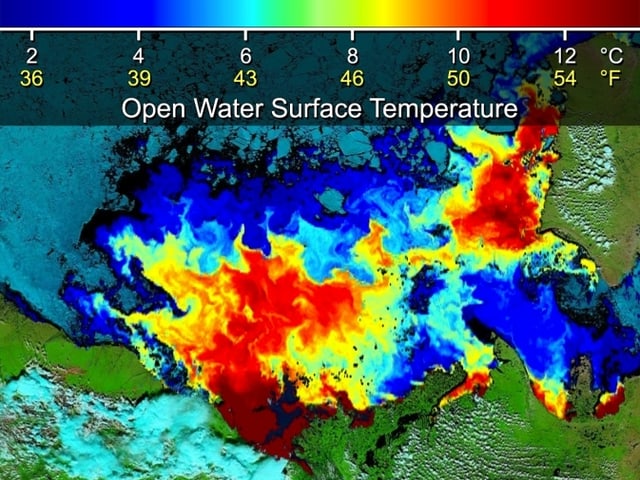 Warme Farben wie rot oder orange verdeutlichen die warmen Wassermassen, die von den Flüssen ins Meer getragen werden. Warme Farben wie rot oder orange verdeutlichen die warmen Wassermassen, die von den Flüssen ins Meer getragen werden.