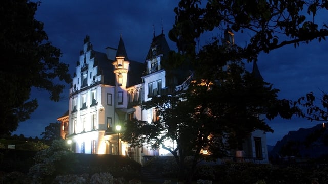 Das Schloss Meggerhorn. Das Schloss Meggerhorn.