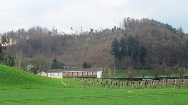 Blick auf die Liebegg in Gränichen. Blick auf die Liebegg in Gränichen.