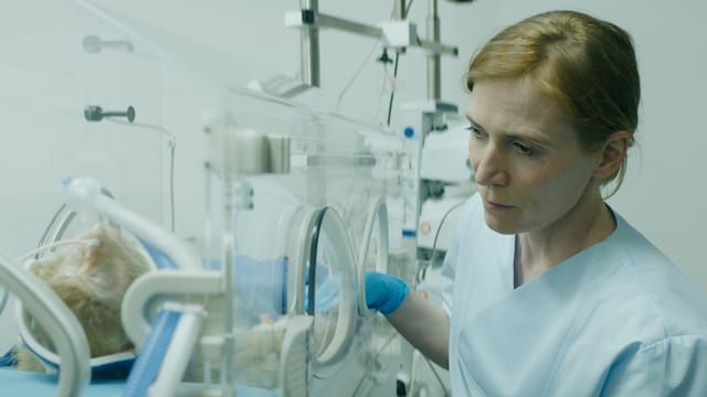Ruth kümmert sich um ihr Laboräffchen, an dem eine Kopftransplantation durchgeführt wurde. Ruth kümmert sich um ihr Laboräffchen, an dem eine Kopftransplantation durchgeführt wurde.