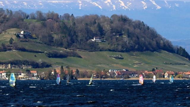 Zahlreiche Surfer waren am Samstag auf dem Murtensee unterwegs. Zahlreiche Surfer waren am Samstag auf dem Murtensee unterwegs.