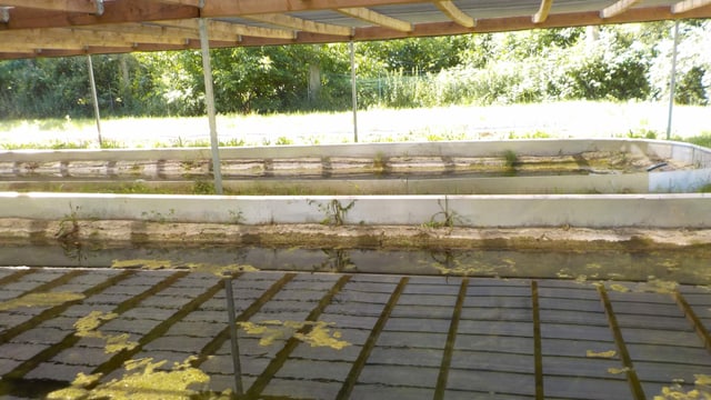 Becken für Zuchtkrebs Becken für Zuchtkrebs