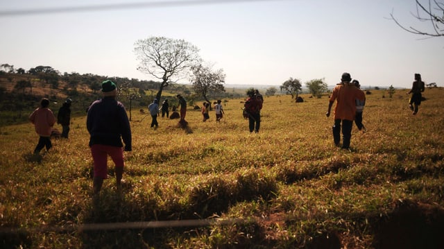 2012 versuchen Stammesangehörige im Bundesstaat Mato Grosso do Sul ihre Land zu besetzen. 2012 versuchen Stammesangehörige im Bundesstaat Mato Grosso do Sul ihre Land zu besetzen.