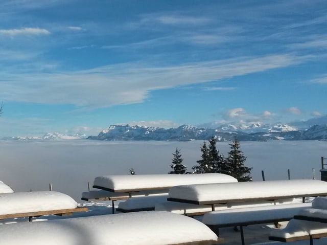 Im Vordergrund stehen Tische und Bänke unter einer Schneedecke. Dahinter sind Tannen und dann das Nebelmeer zu sehen. Im Hintergrund kann man verschneite Berge erkennen. Am Himmel halten sich einige Schleierwolken.