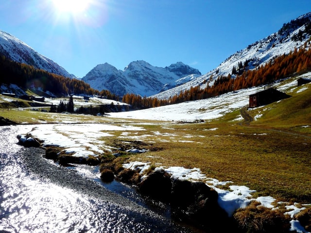 Lärchen, Schnee, blauer Himmel.
