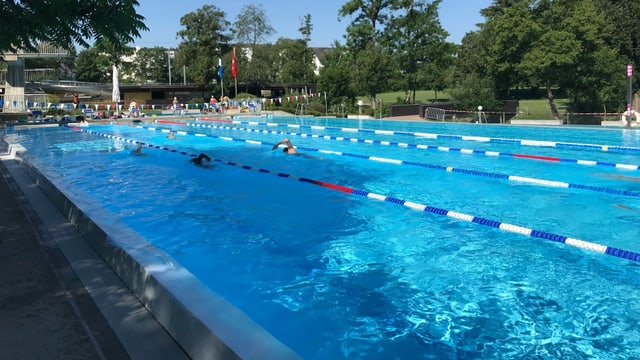 Aarefisch-Schwimmer Aarefisch-Schwimmer