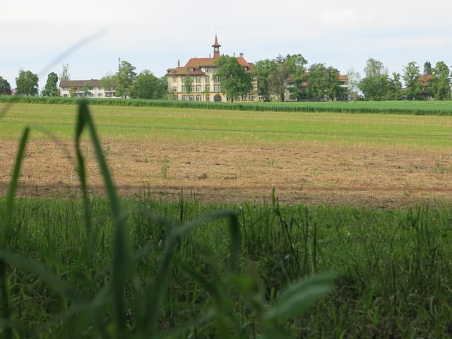 Feld, dahinter ein altes Gebäude. Feld, dahinter ein altes Gebäude.
