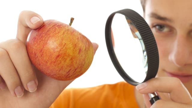 Eine junge Frau schaut sich einen Apfel durch ein Vergrösserungsglas an. Eine junge Frau schaut sich einen Apfel durch ein Vergrösserungsglas an.