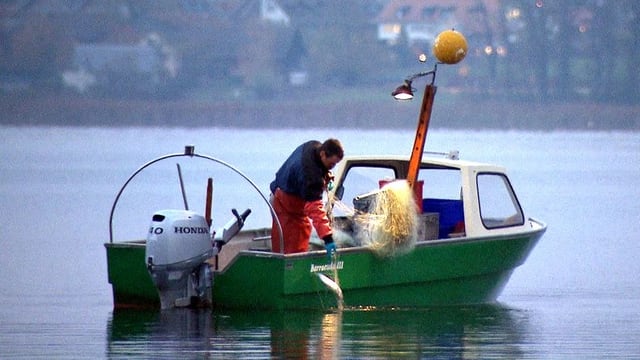 Berufsfischer in einem Boot auf dem See Berufsfischer in einem Boot auf dem See