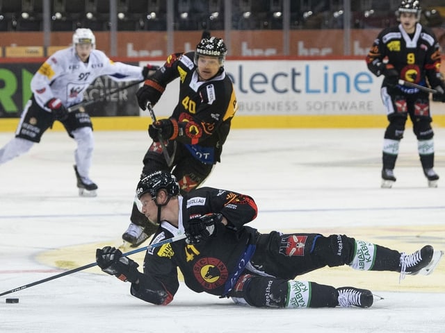 Gregory Sciaroni und der SC Bern. Gregory Sciaroni und der SC Bern.
