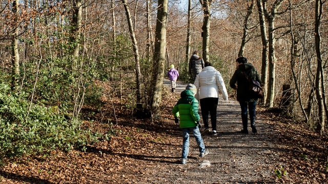 Eine Familie spaziert im Wald. Eine Familie spaziert im Wald.