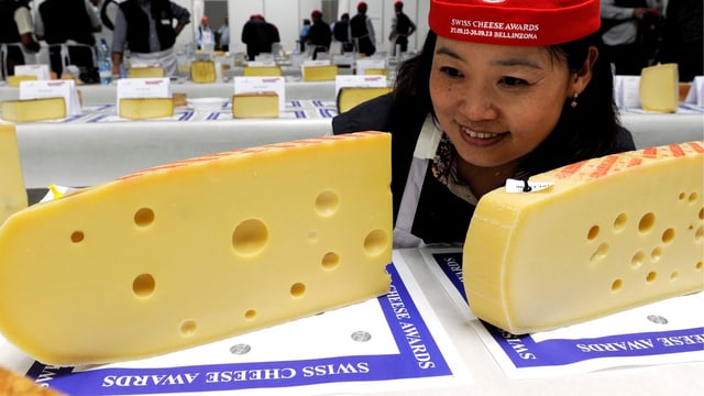 Emmentaler-Scheiben werden von einer japanischen Jurorin beim Chees Award in Bellinzona begutachtet. Emmentaler-Scheiben werden von einer japanischen Jurorin beim Chees Award in Bellinzona begutachtet.