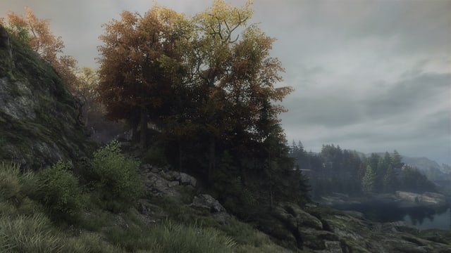 Laubbäume stehen an einem Abhang im Herbstlicht. Laubbäume stehen an einem Abhang im Herbstlicht.