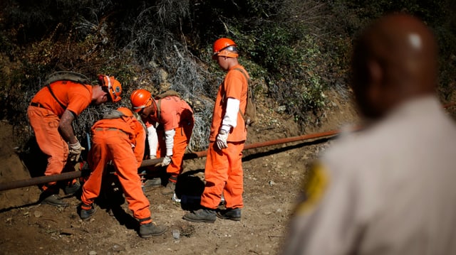 Häftlinge arbeiten an einem Rohr im Wald Häftlinge arbeiten an einem Rohr im Wald