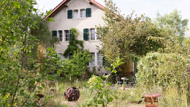 Wilder Garten, dahinter ein Haus. Wilder Garten, dahinter ein Haus.