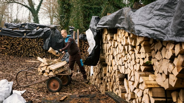Zivi sammelt Holz. Zivi sammelt Holz.
