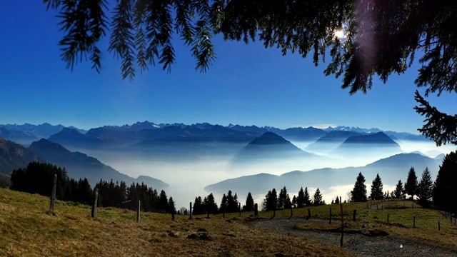 In den kommenden Tagen gibt es vor allem auf den Bergen wieder viel Sonnenschein, ähnlich wie am 11. November auf der Rigi. In den kommenden Tagen gibt es vor allem auf den Bergen wieder viel Sonnenschein, ähnlich wie am 11. November auf der Rigi.