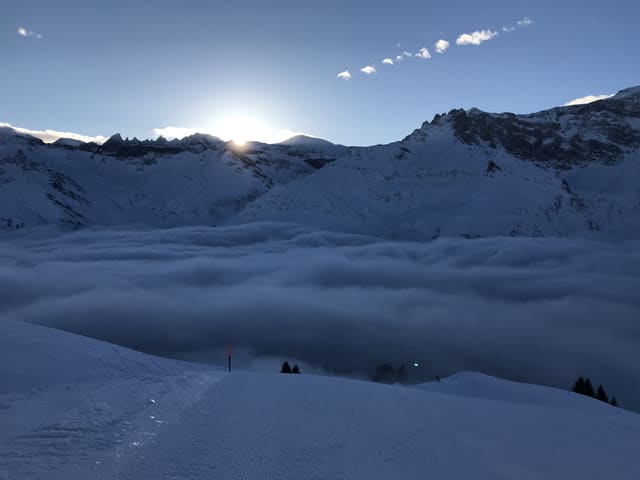 Froh zu sein bedarf es wenig und wer froh ist, ist über dem Nebel.