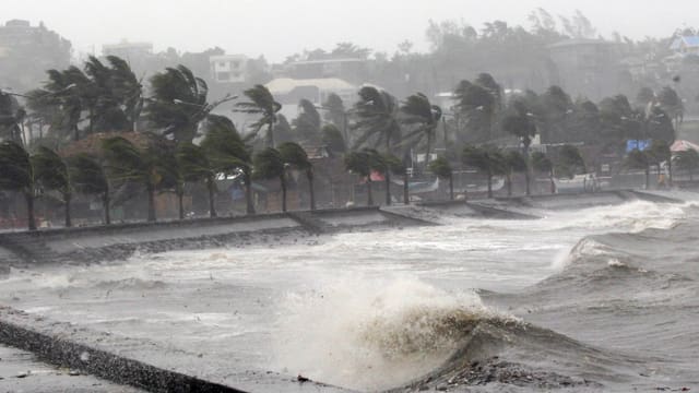 Palmas e la mar cun undas autas, i plova Palmas e la mar cun undas autas, i plova