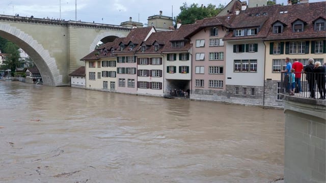 Blick auf die braune Aare. Blick auf die braune Aare.
