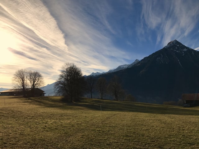 Niesen im Morgenlicht