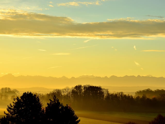 Goldener Morgen