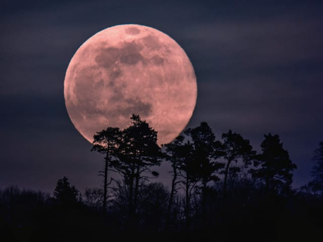 Vollmond