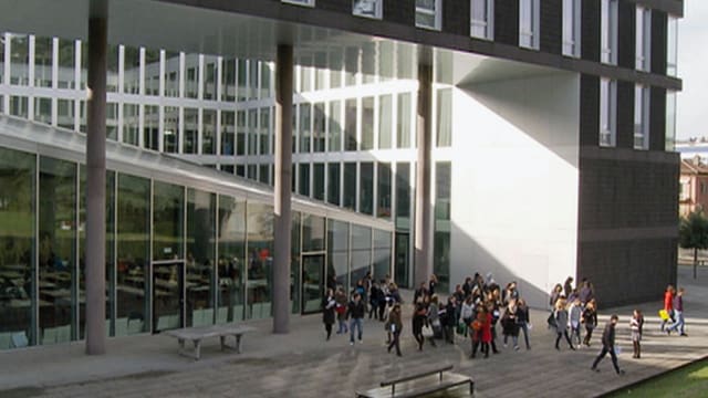 Video «Das flexible Rechteck» abspielen Video «Das flexible Rechteck» abspielen