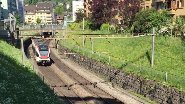 Zug auf Gleis Zug auf Gleis
