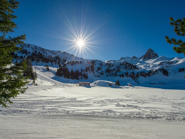 Sonne pur und strahlend blauer Himmel über Winterlandschaft.