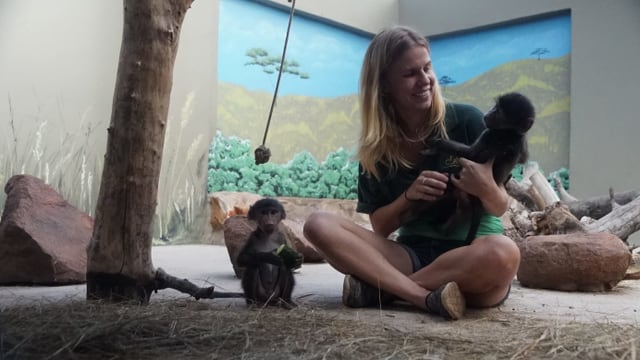 Video «Aufzucht in der Wildnis (1/7)» abspielen Video «Aufzucht in der Wildnis (1/7)» abspielen