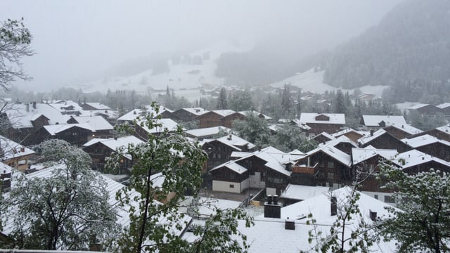 Am 23. Mai war es in Saanen auf rund 1000 Meter über Meer weiss. Am 23. Mai war es in Saanen auf rund 1000 Meter über Meer weiss.