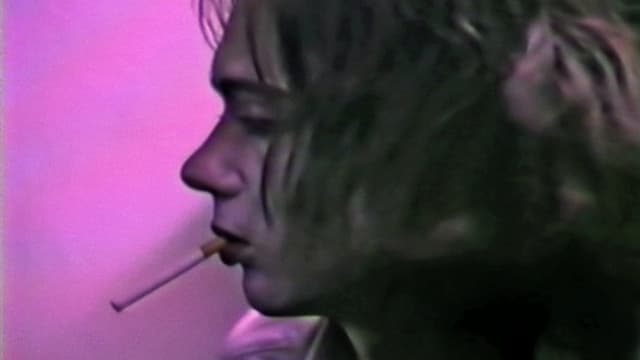 Video «Zaunkönig - Tagebuch einer Freundschaft» abspielen Video «Zaunkönig - Tagebuch einer Freundschaft» abspielen