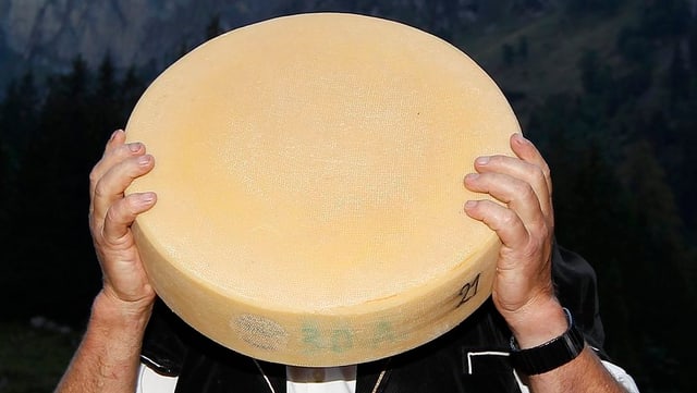 Käse. Käse.