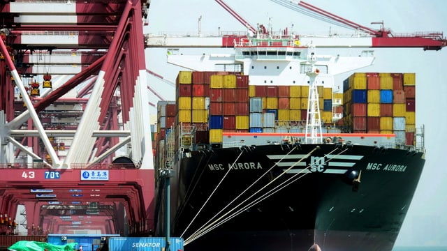 Der globalisierte Handel hat die Einwanderung verschiedener Stechmückenarten begünstigt Der globalisierte Handel hat die Einwanderung verschiedener Stechmückenarten begünstigt