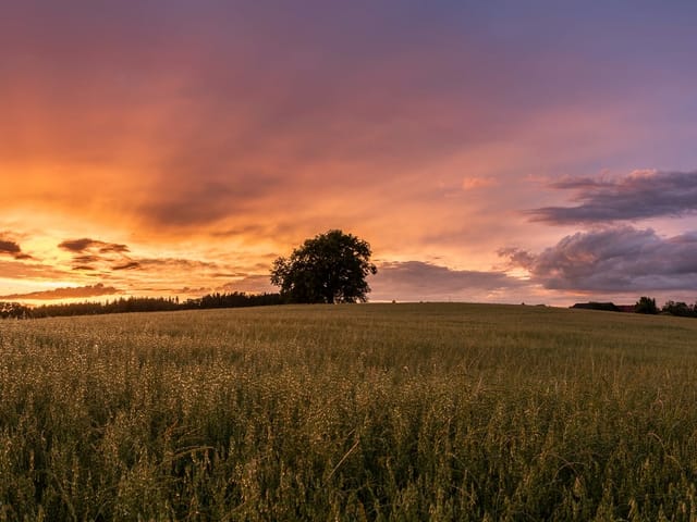Farbige Abendstimmung hinter einem Feld.