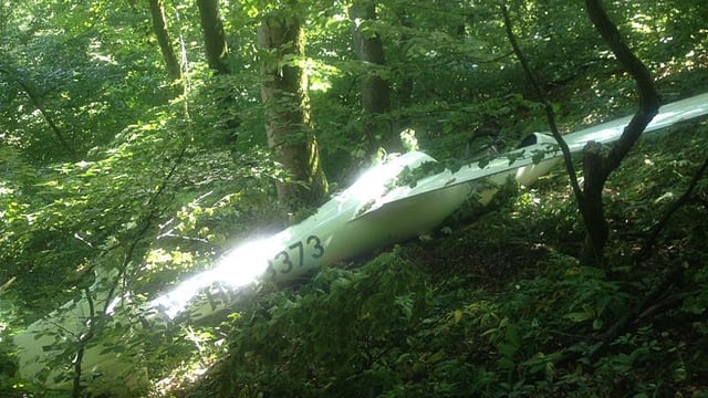 Segelflugzeug zwischen Bäumen im Wald. Segelflugzeug zwischen Bäumen im Wald.