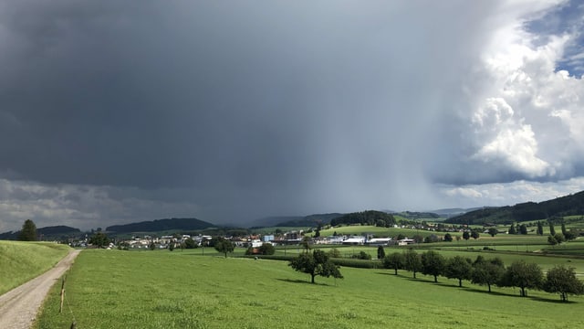 Dunkle Quellwolke mit Virgastreifen (Regen) im westlichen Kanton Thurgau. Dunkle Quellwolke mit Virgastreifen (Regen) im westlichen Kanton Thurgau.