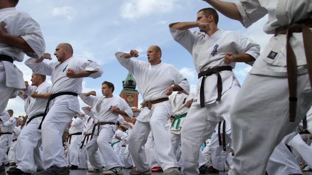 Karate-Kämpfer am Trainieren.