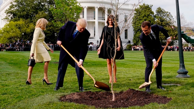 Trump und Macron pflanzen einen Baum. Trump und Macron pflanzen einen Baum.