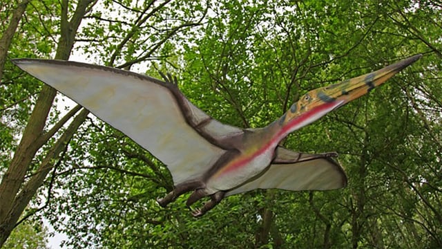 Saurier im Flug Saurier im Flug