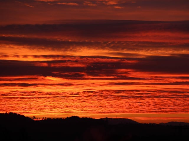 Oranger Himmel, es brennt.