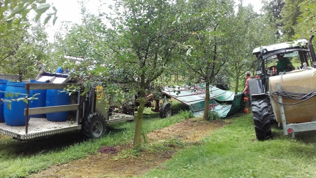 Ein Traktor und ein langes Förderband Ein Traktor und ein langes Förderband