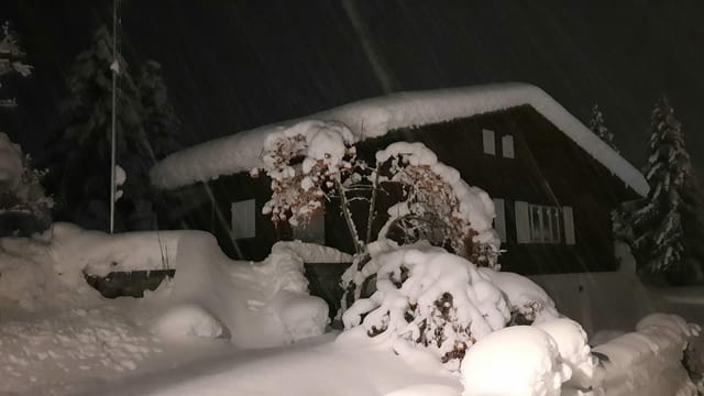 Mit dem vielen Schnee wird auch die finsterste Nacht ganz hell. Mit dem vielen Schnee wird auch die finsterste Nacht ganz hell.