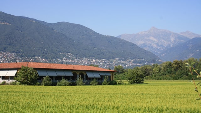 Im Tessin liegt der Sommer 2015 bezüglich Hitze ebenfalls auf Platz 2. Im Tessin liegt der Sommer 2015 bezüglich Hitze ebenfalls auf Platz 2.