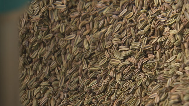 Fenchelsamen Fenchelsamen