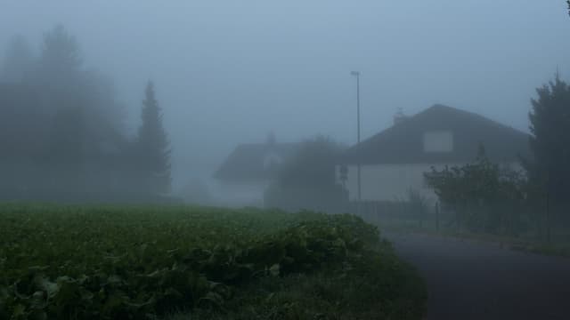Neblige Strasse in einem Wohngebiet am Waldrand. Neblige Strasse in einem Wohngebiet am Waldrand.