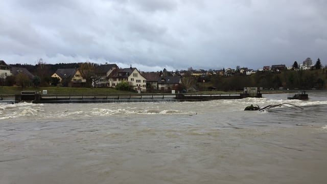 Fluss mit braunem Wasser. Fluss mit braunem Wasser.